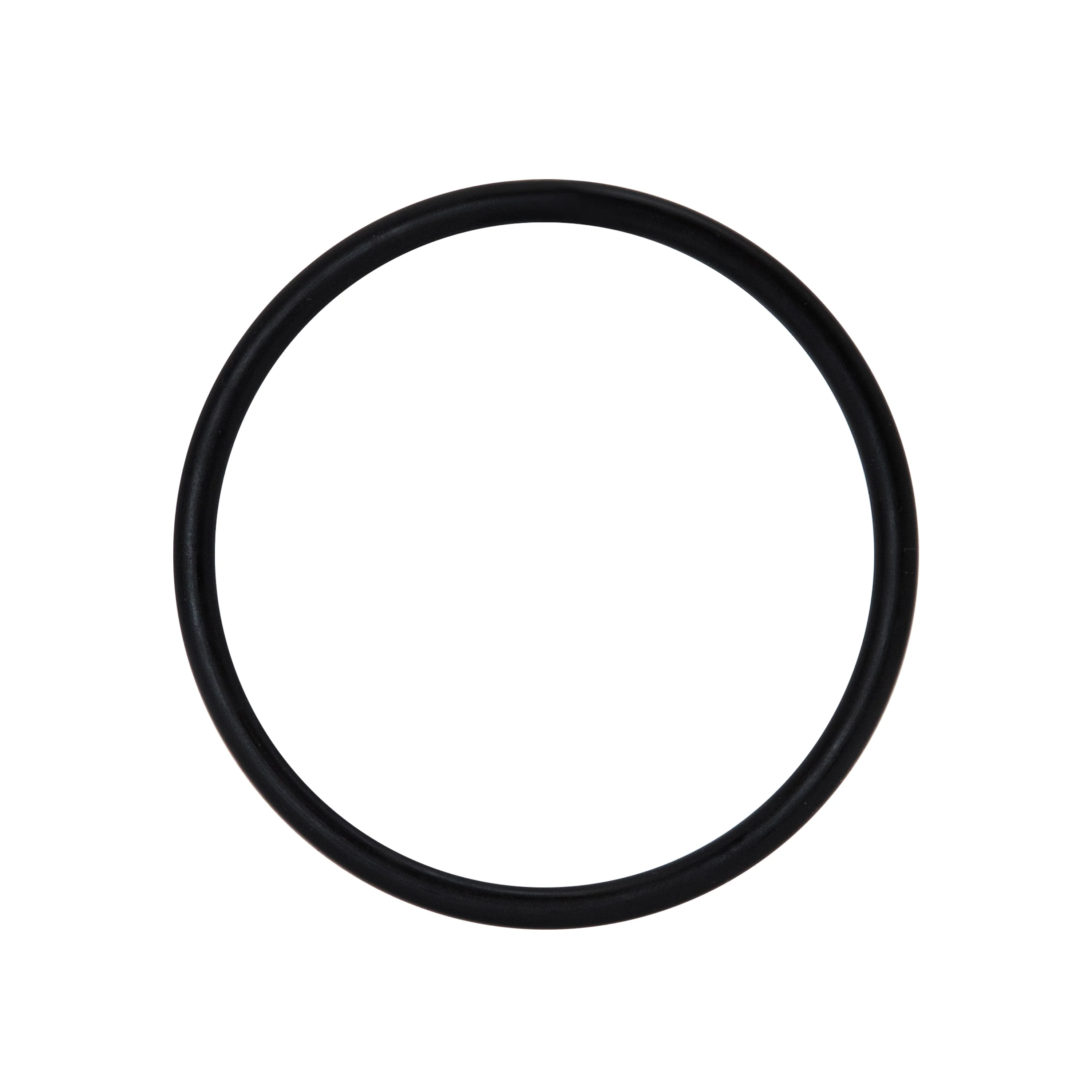 Aquasure 2.5 in media tank opening o-ring